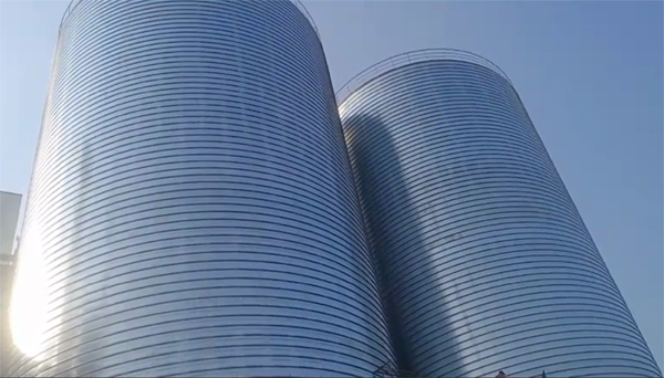 巢湖2座混凝土高架卷板仓